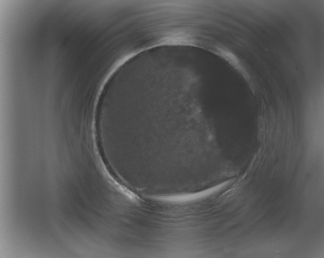 X0000068261331200604281515