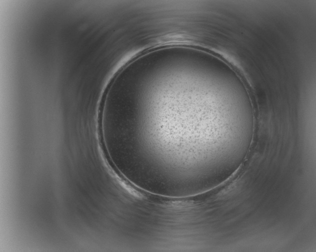 X0000068261333200604281515