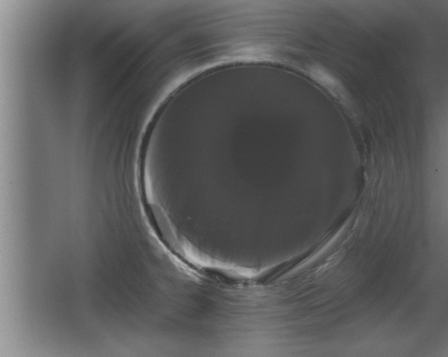 X0000068261334200604281515