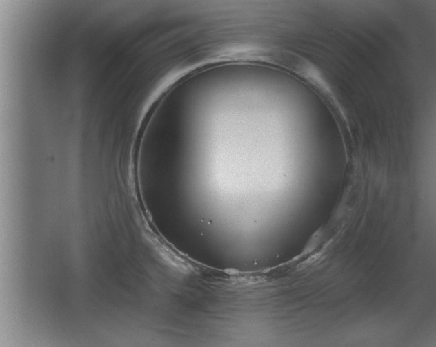 X0000068261336200604281515