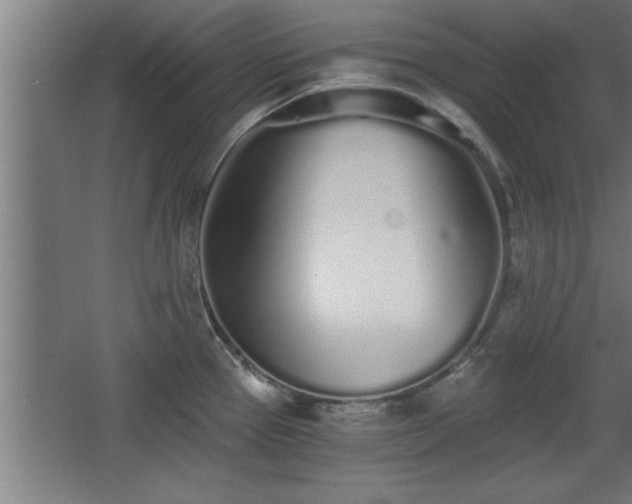 X0000068261337200604281516