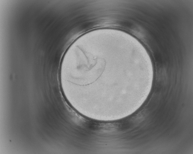 X0000068261338200604281516