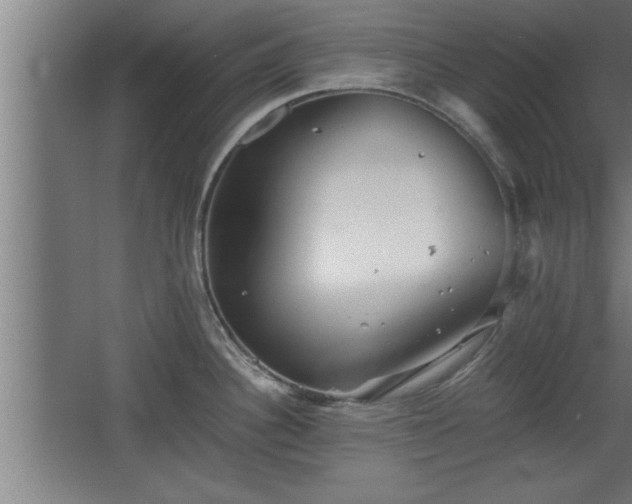 X0000068261340200604281516