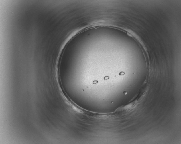 X0000068261341200604281516