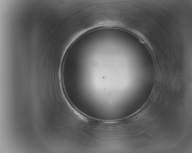 X0000068261343200604281516