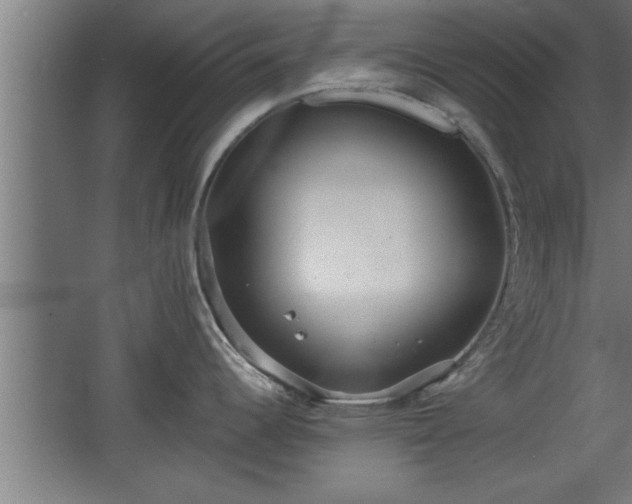 X0000068261344200604281516