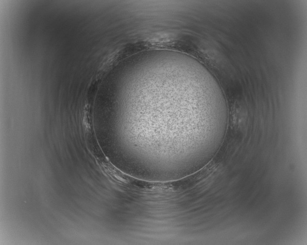 X0000068261346200604281515