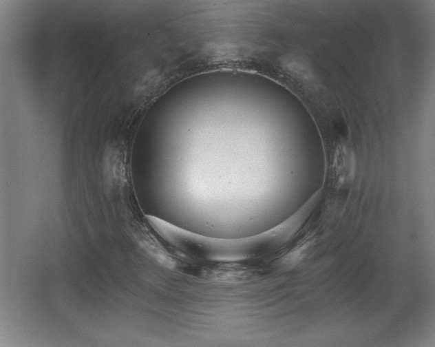 X0000068261348200604281515