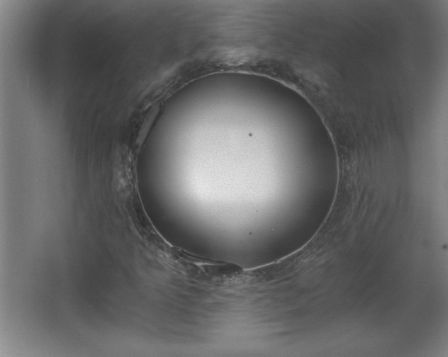 X0000068261349200604281515