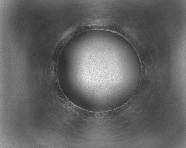 X0000068261350200604281515