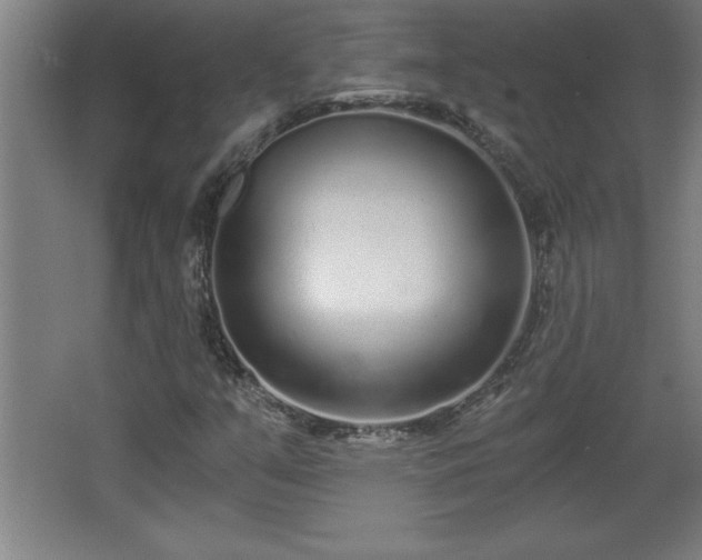 X0000068261351200604281515