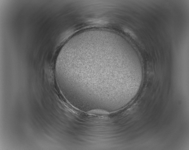 X0000068261354200604281515