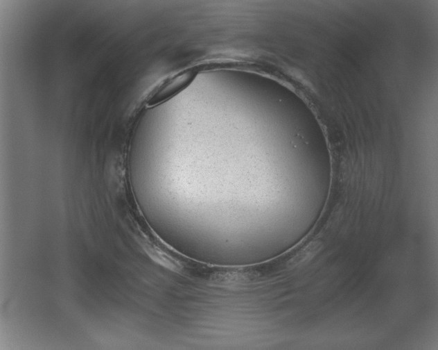 X0000068261355200604281515