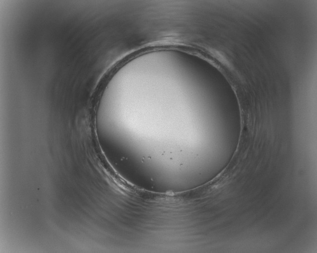 X0000068261356200604281515