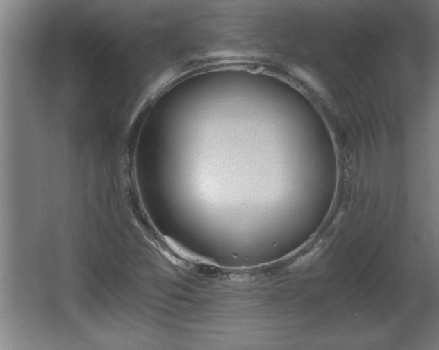 X0000068261357200604281515