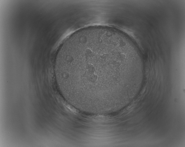 X0000068261359200604281515