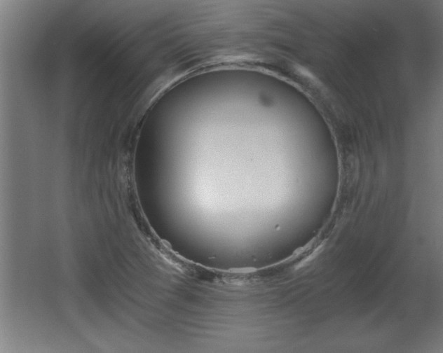 X0000068261361200604281515