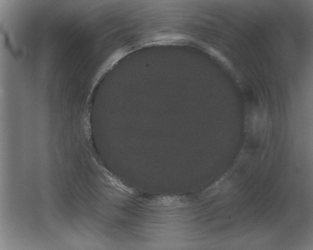 X0000068261362200604281515