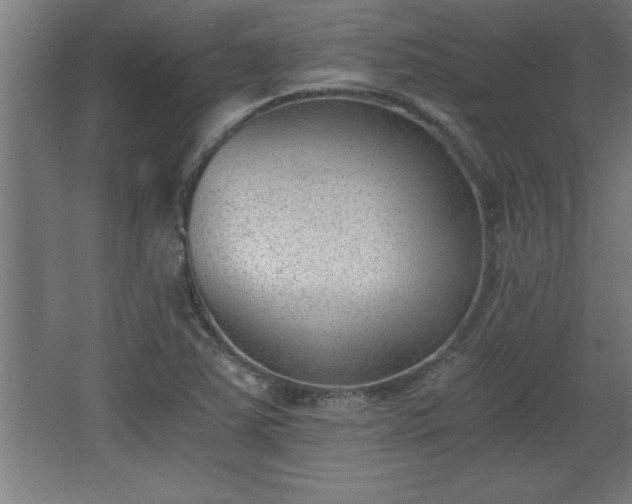 X0000068261363200604281515