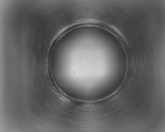 X0000068261364200604281514