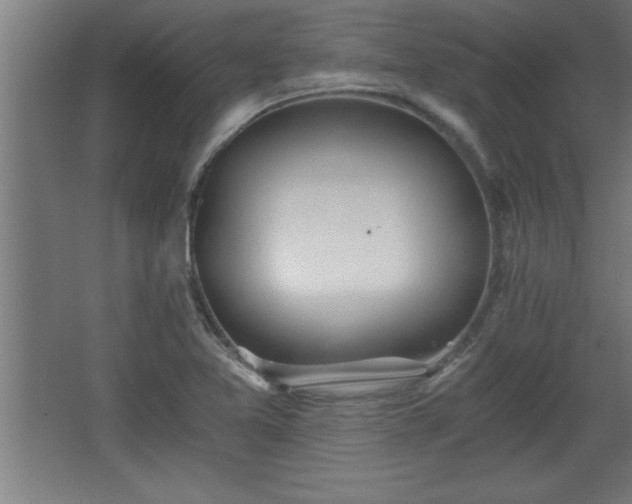 X0000068261365200604281514