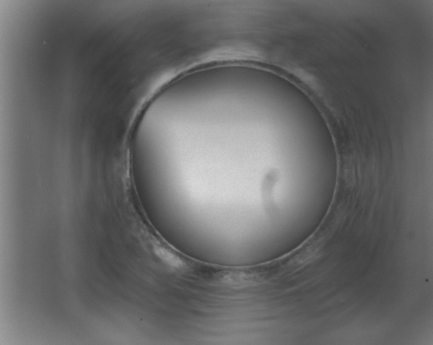 X0000068261366200604281514