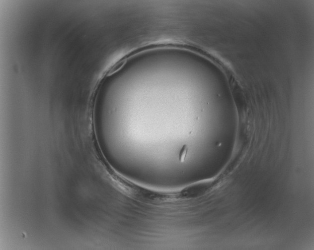 X0000068261367200604281514