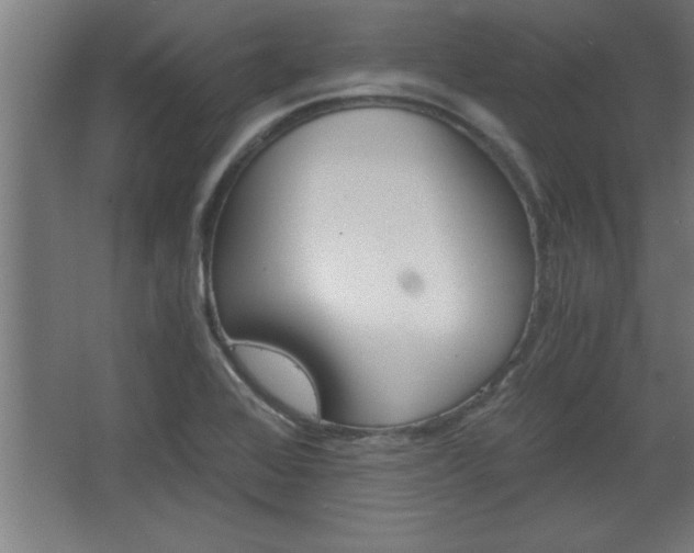 X0000068261368200604281514