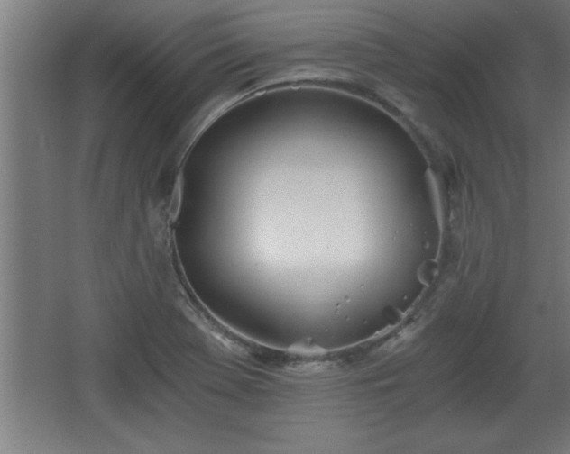 X0000068261369200604281514