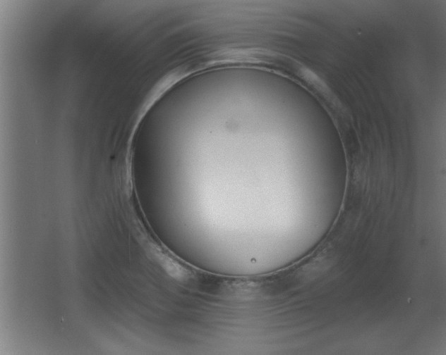 X0000068261370200604281514