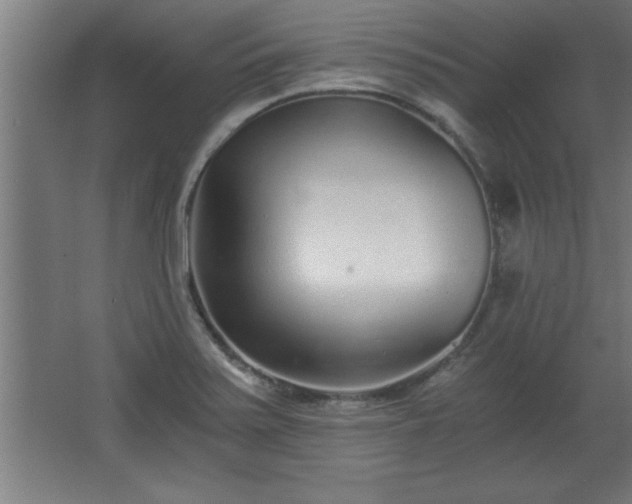 X0000068261371200604281514