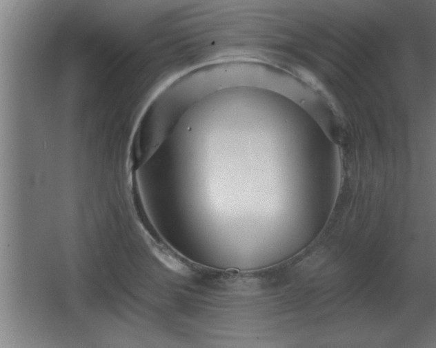 X0000068261372200604281514