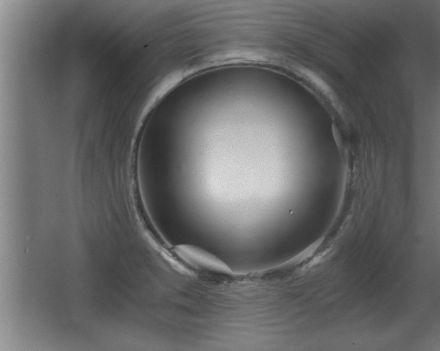 X0000068261373200604281514