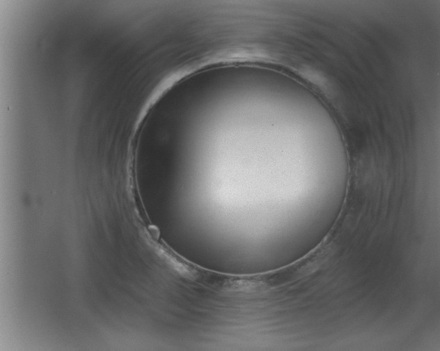 X0000068261374200604281514