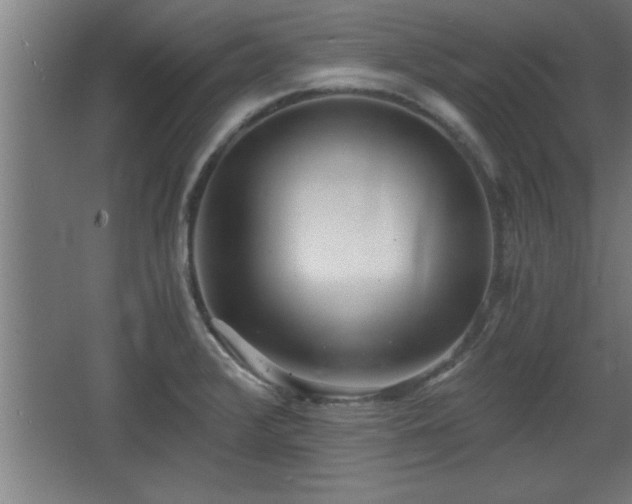 X0000068261376200604281514