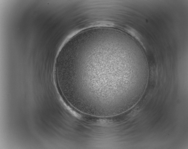 X0000068261379200604281514