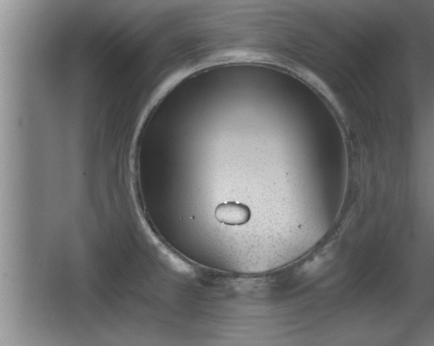 X0000068261381200604281514