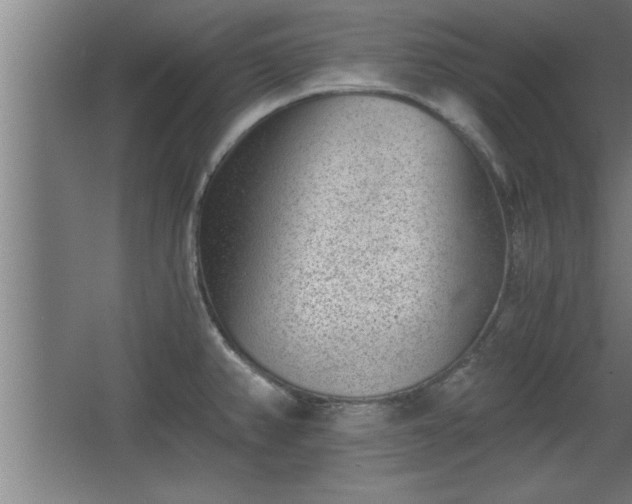 X0000068261382200604281514