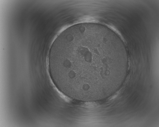 X0000068261383200604281514