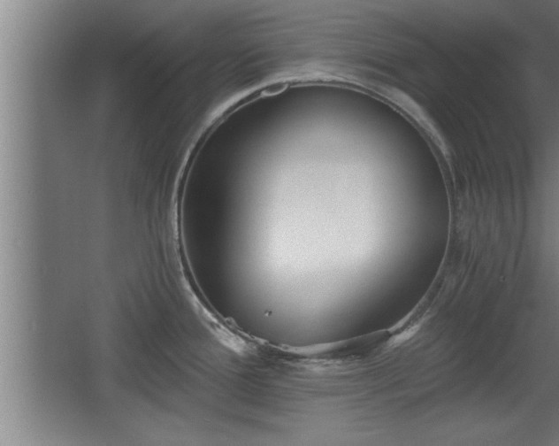 X0000068261388200604281514