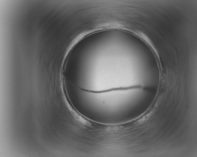 X0000068261389200604281514