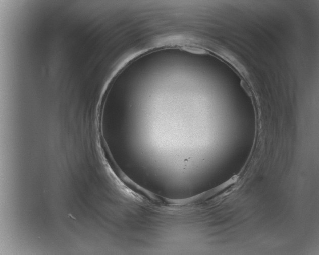 X0000068261392200604281514