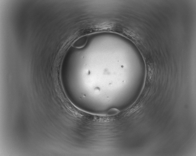 X0000068261393200604281513