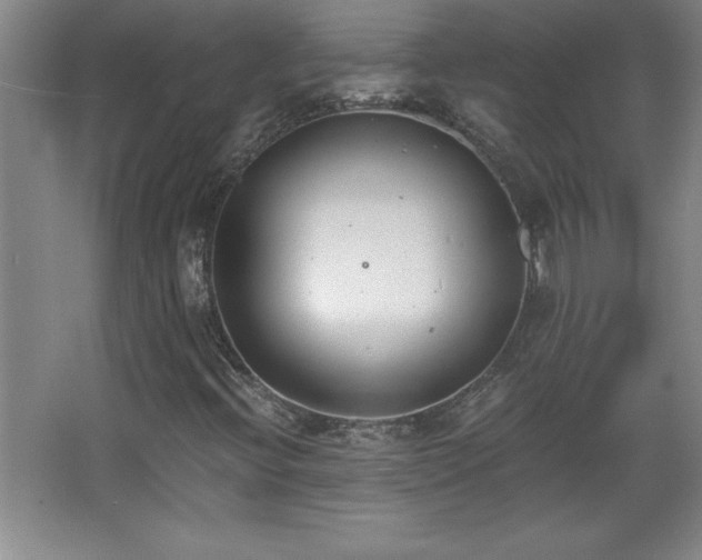 X0000068261396200604281513