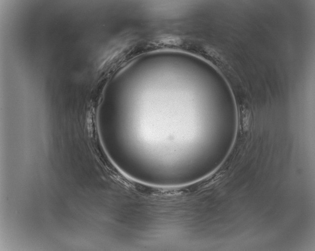 X0000068261397200604281513