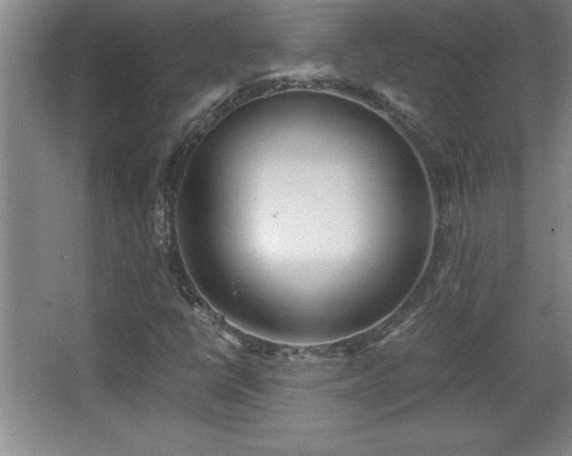 X0000068261398200604281513