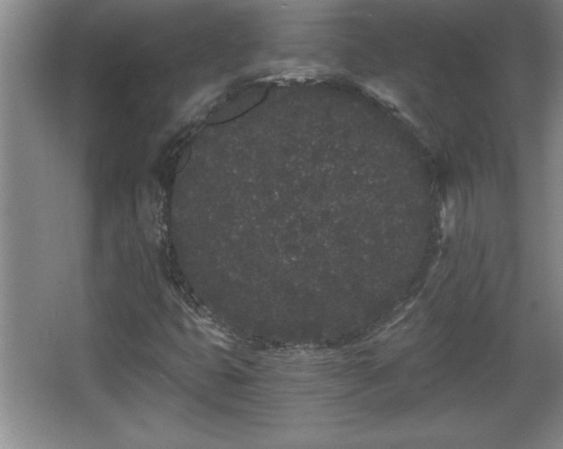 X0000068261399200604281513