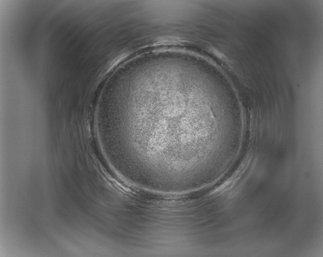 X0000068261401200604281513