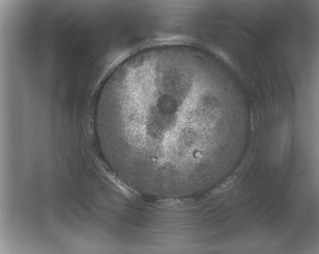 X0000068261405200604281513