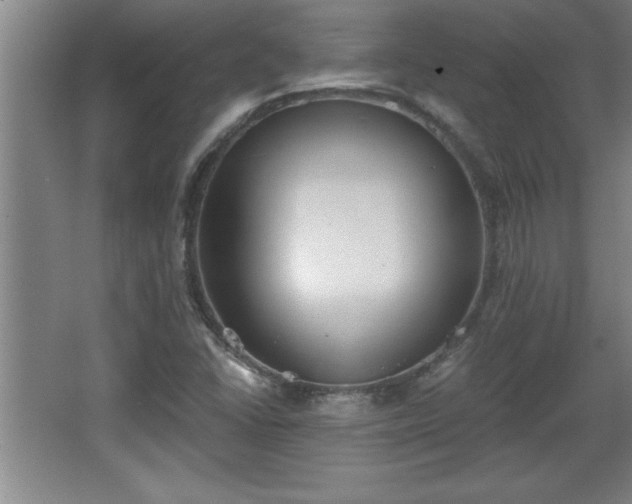 X0000068261406200604281513